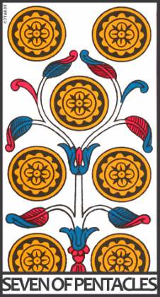 Seven of Pentacles